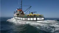 New Build 13.85m Custom Fishing Vessels